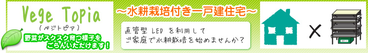 べジトピア　野菜がスクスク育つ様子をごらんいただけます！